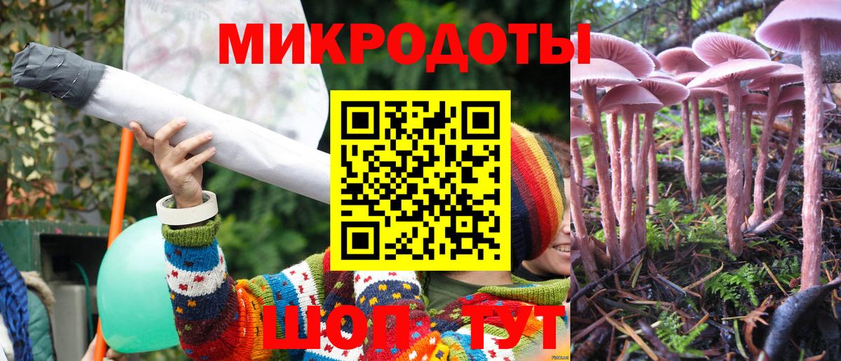 Галлюциногенные грибы Psilocybe Серпухов